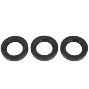 Interpump Oil Seal Kit | Kit 24