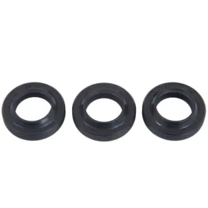 Interpump Oil Seal Kit | Kit 271