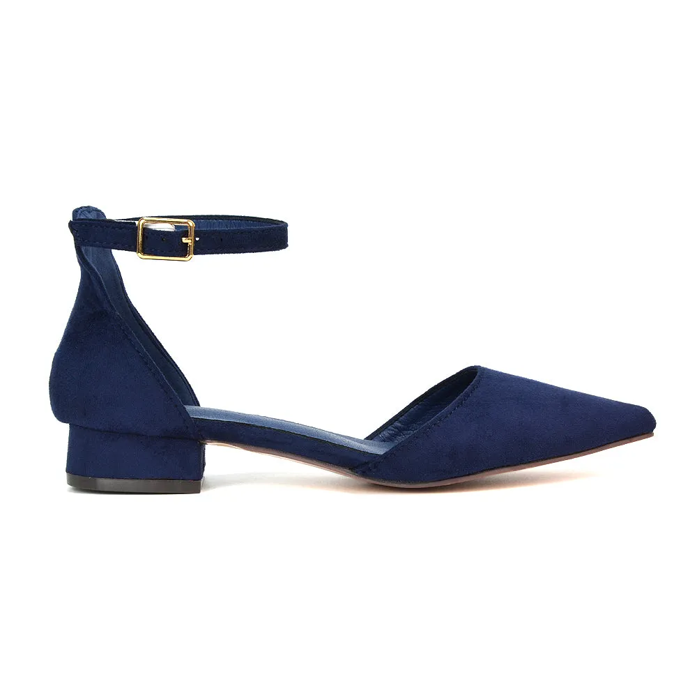 Robyn Pointed Toe Low Heel Strappy Court Shoes in Navy Faux Suede