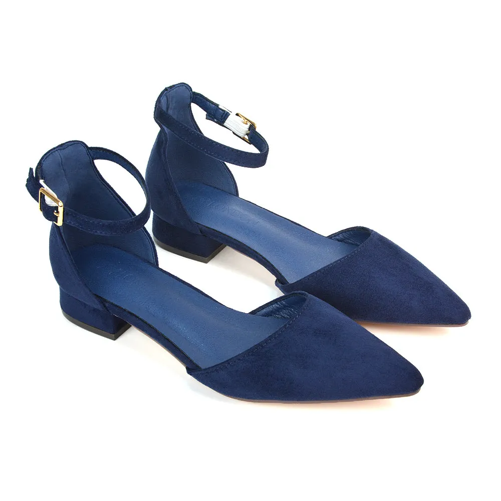 Robyn Pointed Toe Low Heel Strappy Court Shoes in Navy Faux Suede