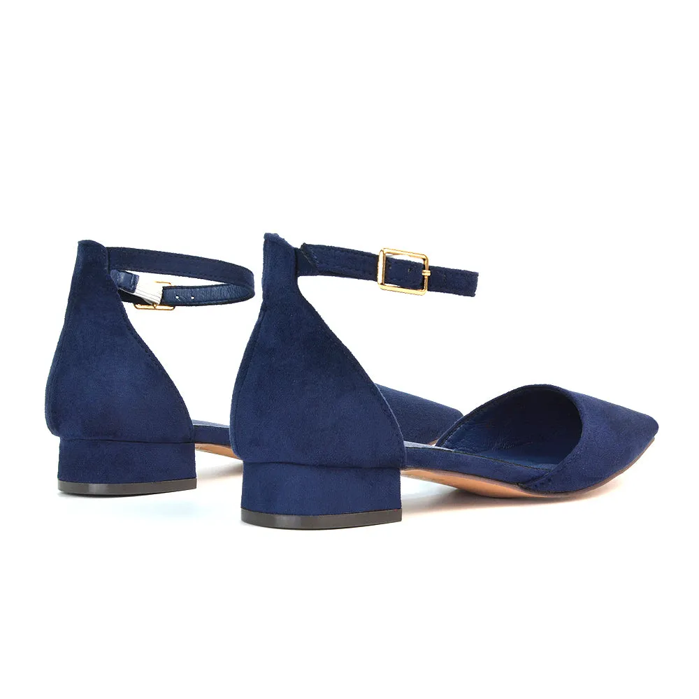 Robyn Pointed Toe Low Heel Strappy Court Shoes in Navy Faux Suede